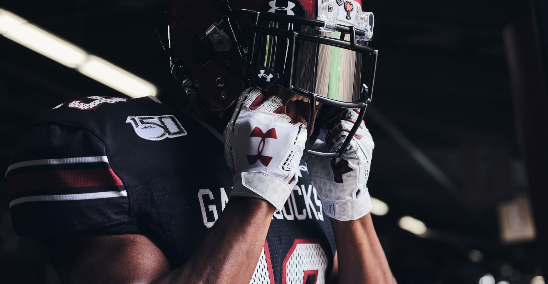 South Carolina Gamecocks